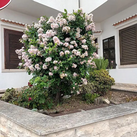 公寓 A Casa Na Foz ! West Is The ! *