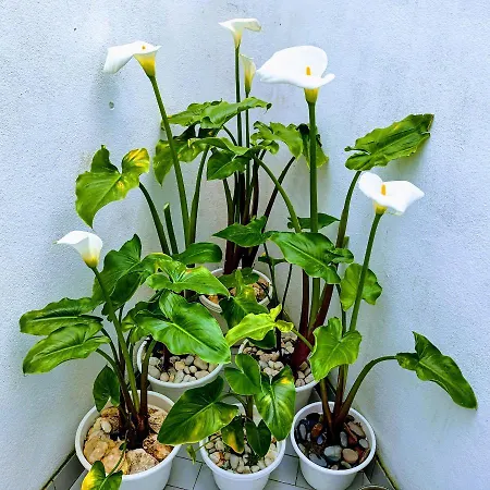 Apartment A Casa Na Foz ! West Is The !