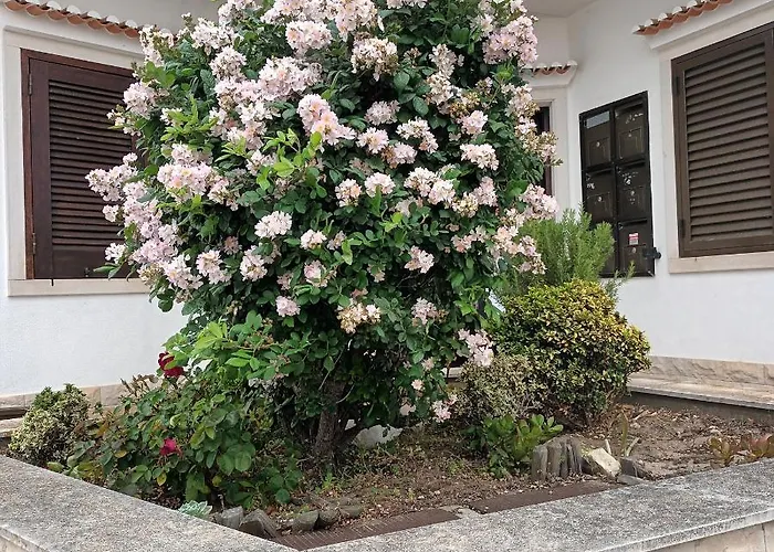 Appartamento A Casa Na Foz - West Is The ! *